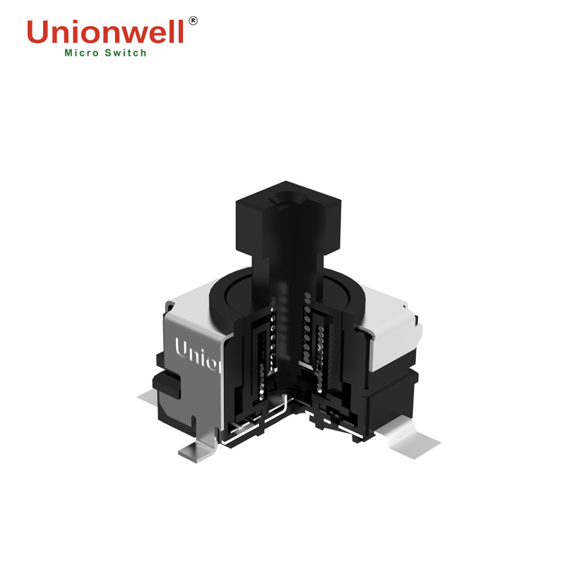 push button switch cross-sectional view